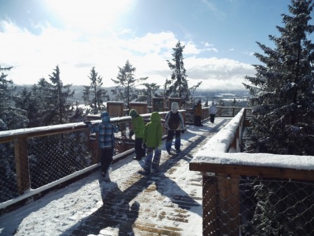 stezka-korunami-stromu-lipno